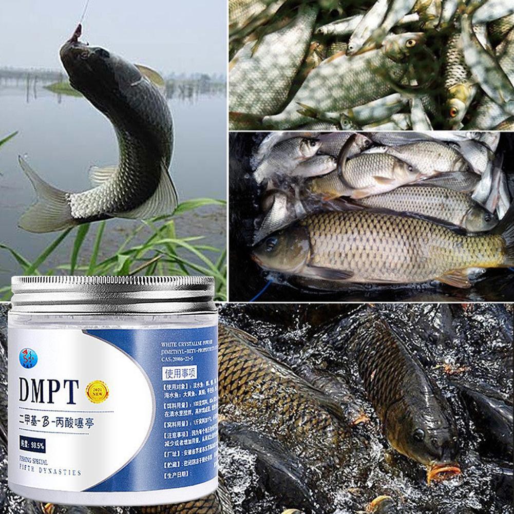 50g Real DMPT cebo de pesca de - Fishing Equipment For Sale reseña y precio